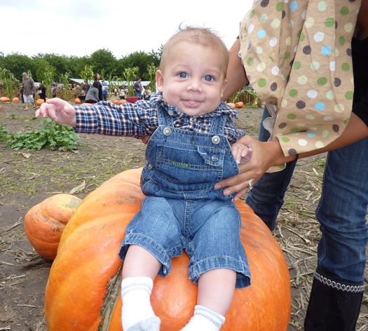 bates nut farm pumpkin patch