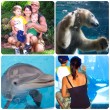 SeaWorld San Diego