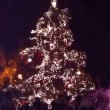 San Elijo Tree Lighting Ceremony