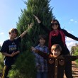 Family Christmas Tree Farm