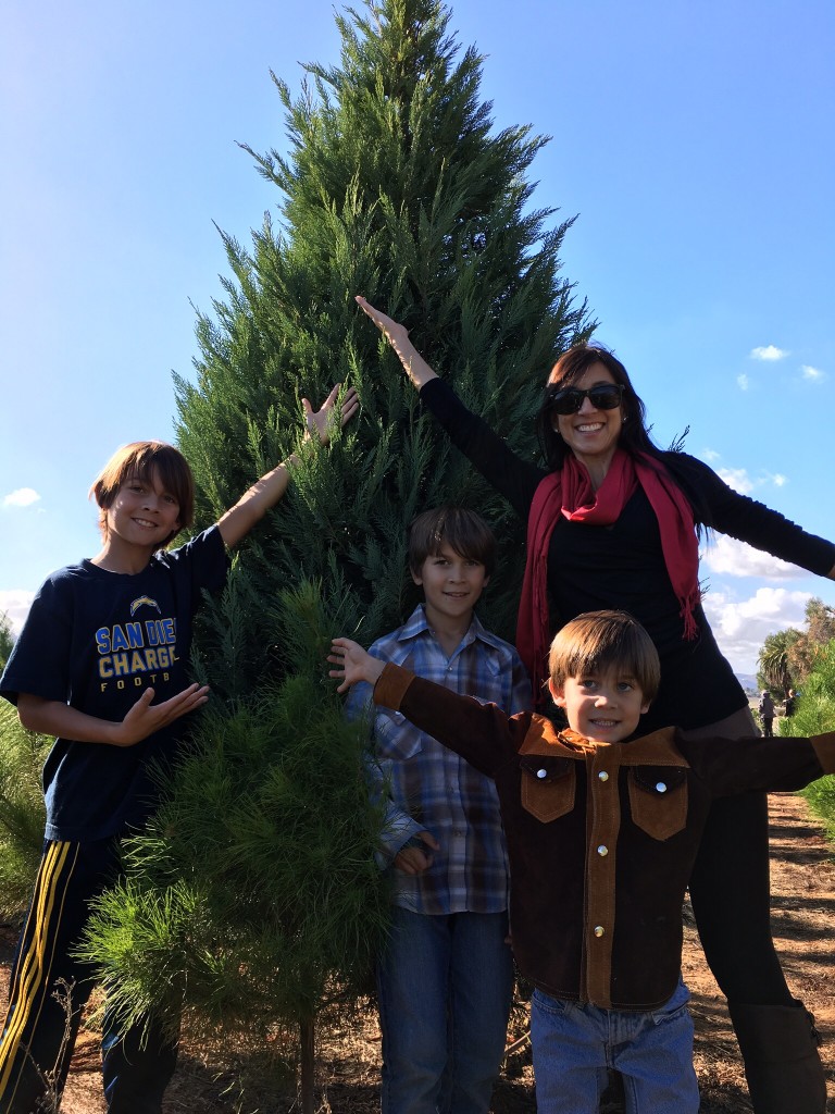 Family Christmas Tree Farm